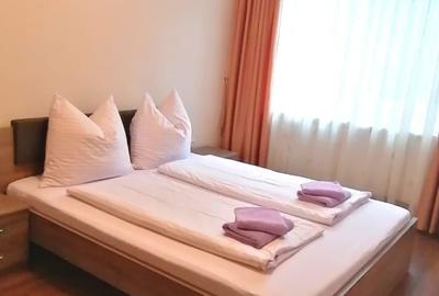 Apartament cu 2 camere decomandat în Băile Felix - 8