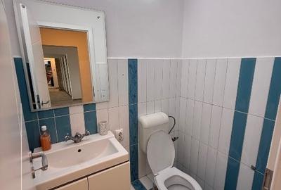 Apartament cu 3 camere decomandat, mobilat în Pantelimon - 6