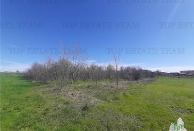 Teren Construcții intravilan de 4000 mp, în Vârteju - 4