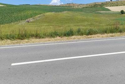 Teren de 5800 mp, în Gădălin - 1