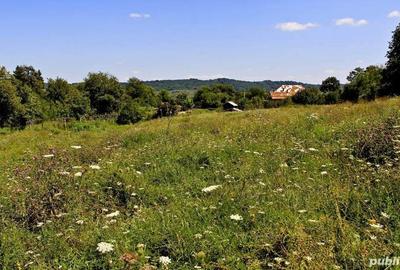 Teren de 50000 mp, în Zătreni - 4