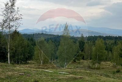 Teren agricol extravilan de 68607 mp, în Călățele - 7