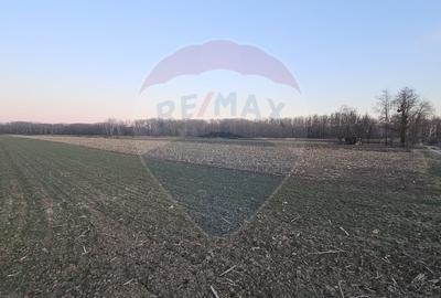 Teren de 1400 mp, în Filipești - 3