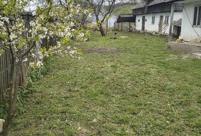 Casă cu Teren 1373 Mp în Prăjoaia - 3