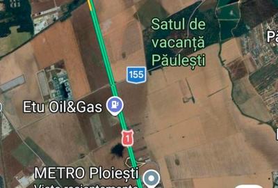 Teren agricol extravilan de 65000 mp, în Păulești - 5