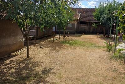 Casă cu 3 camere în Sânnicolau Român