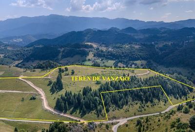 Teren Construcții intravilan de 150000 mp, în Șirnea - 1