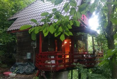 Casă cu 3 camere în Bughea de Jos - 1