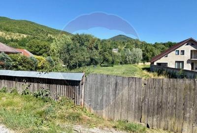 Teren Construcții intravilan de 3154 mp, în Bârsana - 2