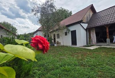 Casă cu 4 camere în Târnava