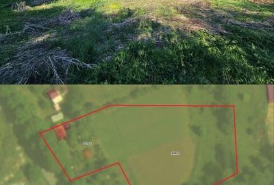 Casă individuală cu 2 camere cu Teren 4200 Mp în Bogata - 5