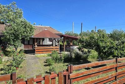 Casă cu Teren 2350 Mp în Jiana - 8