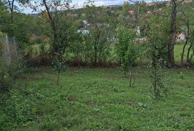 Teren de 986 mp, în Central - 3