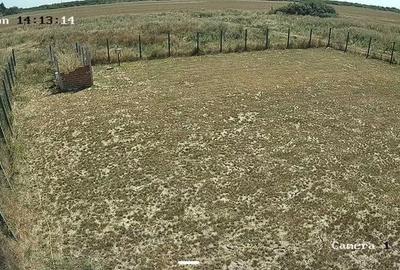 Teren de 530 mp, în Clinceni