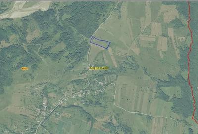 Teren de 9700 mp, în Dănulești - 3