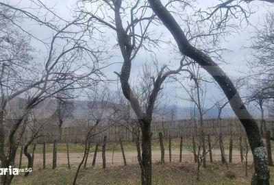 Teren de 3781 mp, în Izvoarele - 3