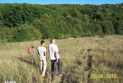 Teren de 6000 mp, în Ștefănești - 1