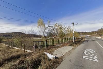 Teren Construcții intravilan de 26908 mp, în Iedera de Jos - 1