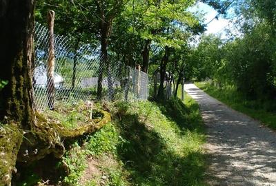 Teren de 7000 mp, în Tănăsești - 4