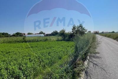 Teren de 1270 mp, în Central