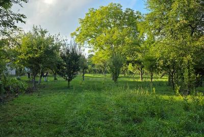 Teren de 2500 mp, în Central - 1