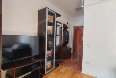 Apartament cu 2 camere semidecomandat, mobilat în Bună Ziua - 7