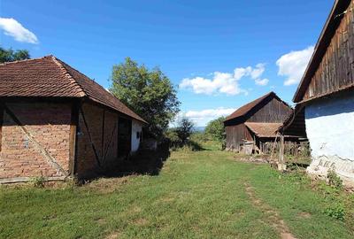 Casă individuală cu 2 camere cu Teren 9223 Mp în Baia de Criș