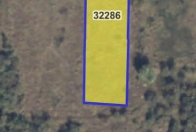 Teren de 3000 mp, în Vulturu