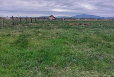 Teren de 1000 mp, în Hărman