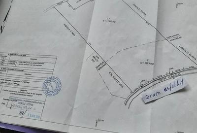Teren de 17650 mp, în Păcureți