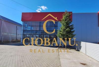 Spațiu comercial, de 1,030 mp, în Ișalnița - 11
