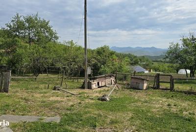 Casă cu 3 camere în Bejan - 7