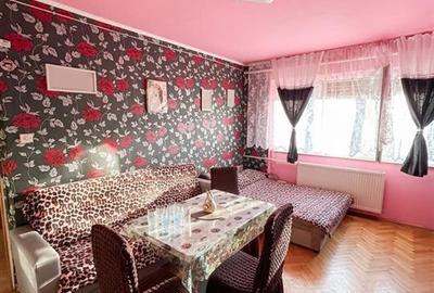 Apartament cu 2 camere semidecomandat în Seleuș - 4