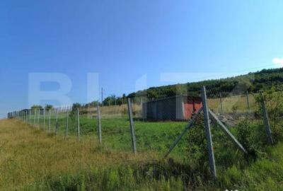 Teren de 1000 mp, în Central - 4