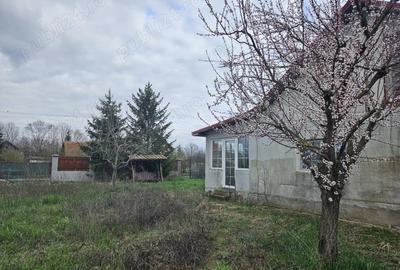 Casă cu 2 camere cu Teren 1500 Mp în Sacoșu Turcesc - 2
