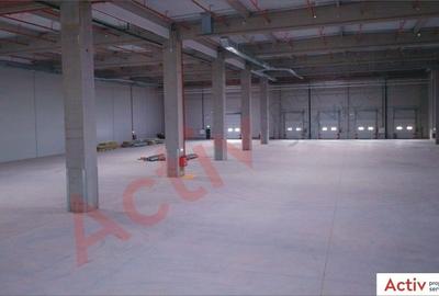 Spațiu industrial, de 24,900 mp, în Sud - 8
