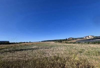 Teren Construcții intravilan de 3451 mp, în Ciolpani - 2