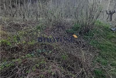 Teren de 3000 mp, în Orașu Nou - 1
