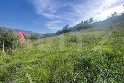 Teren Construcții intravilan de 1787 mp, în Tăuți