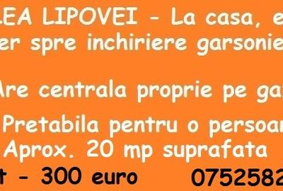 Garsonieră nedecomandată în Lipovei