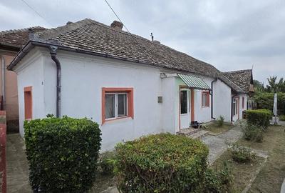 Casă cu 4 camere cu Teren 1900 Mp în Poiana Mare - 3