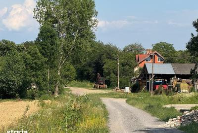 Teren de 3632 mp, în Viile Satu Mare