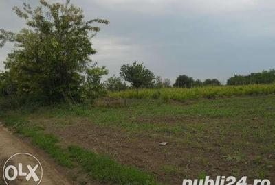 Teren de 2800 mp, în Central