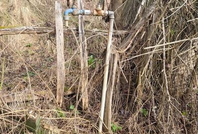 Casă cu 3 camere în Greci - 1