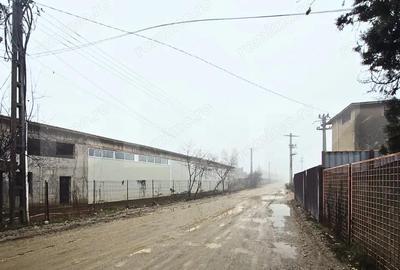 Hala Industriala Mare | 1.250 mp | Acces DN71 | U?i Industriale Mari | Targovi?t - 7