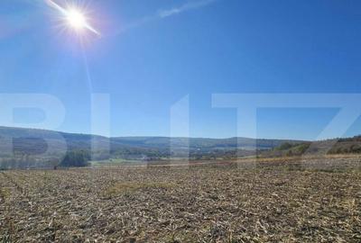 Teren extravilan, 17.000 mp, zona Almasu Mic - 2