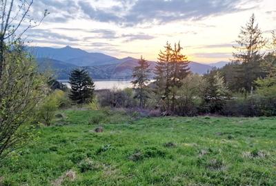 Teren Construcții intravilan de 941 mp, în Hangu - 16