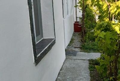 Casa cu teren in Cenei - 10