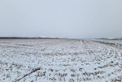 Teren industrial de vanzare in Stupini - 3