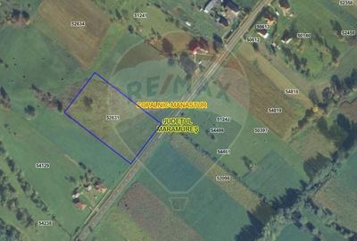Teren 7,430mp Copalnic / Strada principala - 11